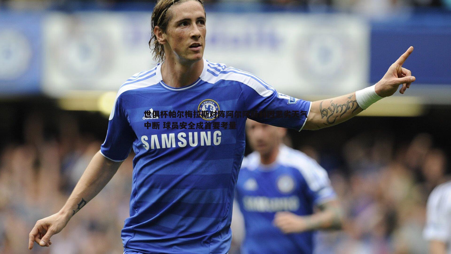 世俱杯帕尔梅拉斯对阵阿尔阿赫利因恶劣天气中断 球员安全成首要考量